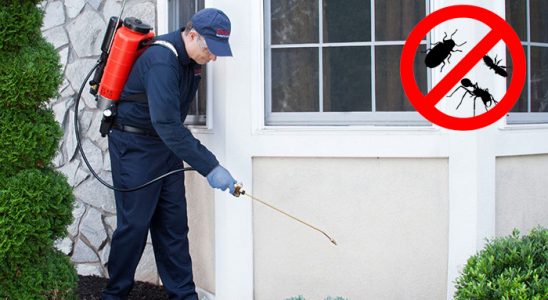 Lice Karınca İlaçlama böcek ilaçlama ve haşere kontrolü — ilaclama-tr.com